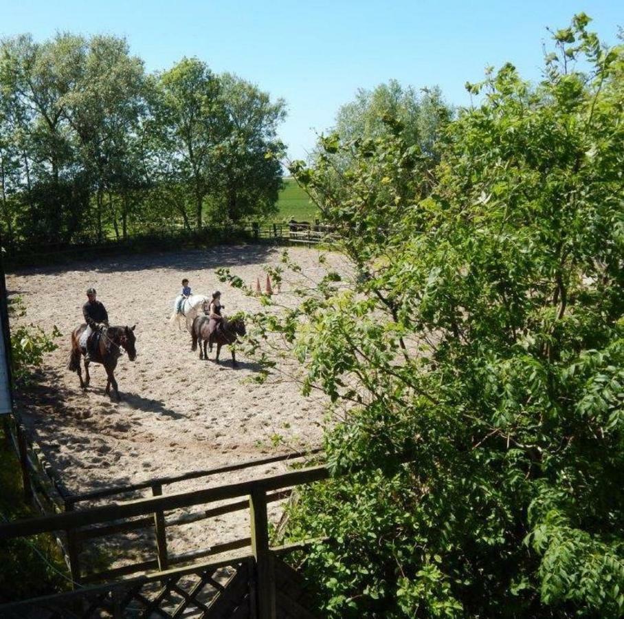 Ferienhof Frerichs Ihr Feriendomizil Am Meer Schillig Bagian luar foto