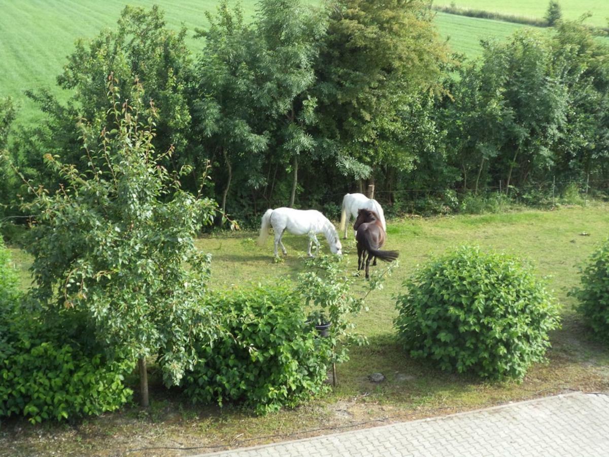 Ferienhof Frerichs Ihr Feriendomizil Am Meer Schillig Bagian luar foto